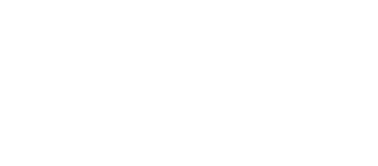 Fidrix